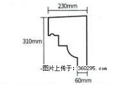 产品分解图型 - 檐口线，型号：SX311-YK-3，规格：230x310mm(3) - 聊城三象EPS建材 lc.sx311.cc
